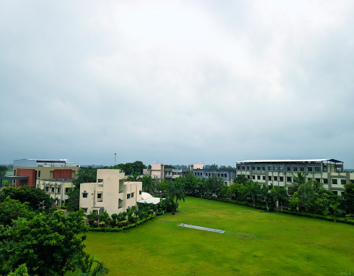 Play Ground